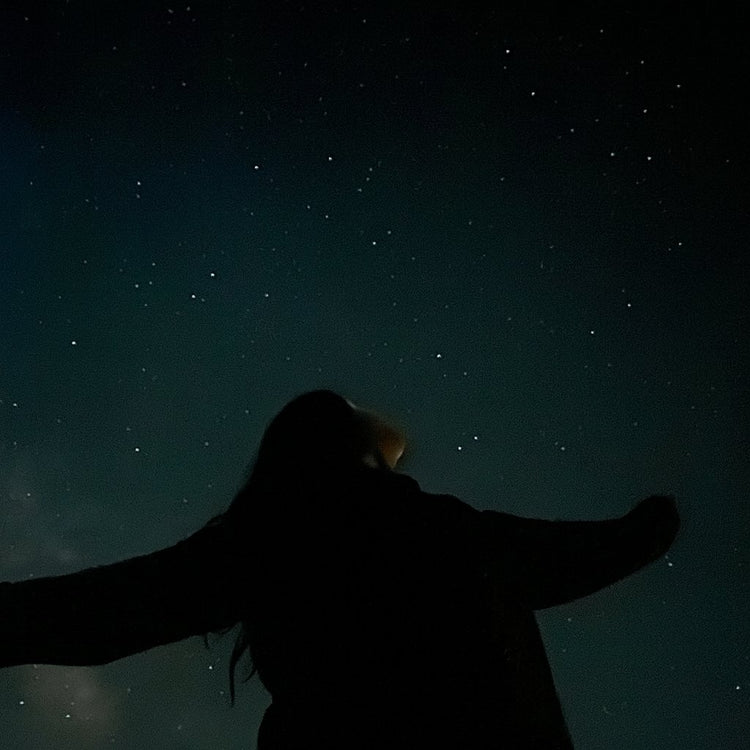 The sky gazers