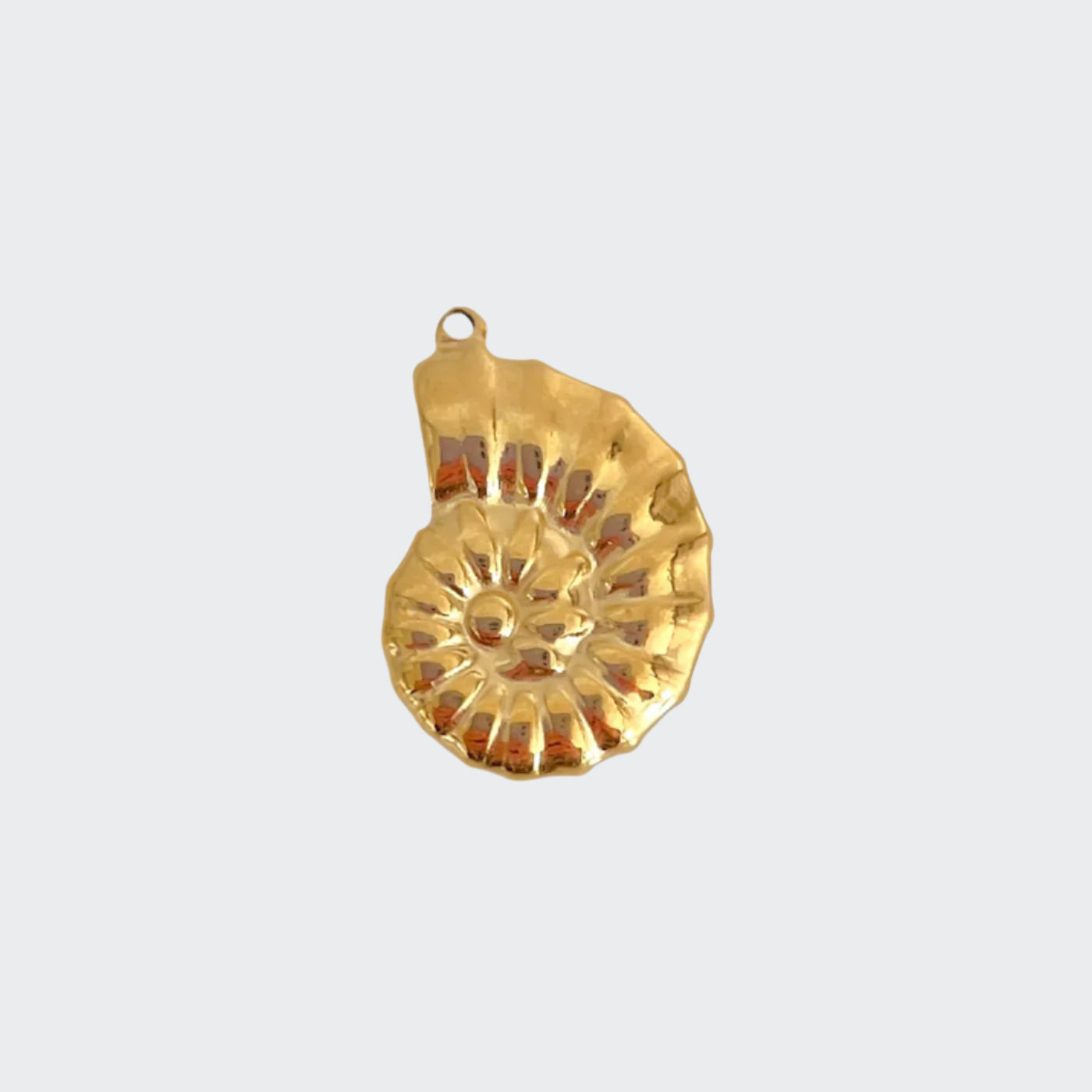 Large Fossil Charm