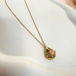 A gold-colored necklace with a shell-shaped pendant, displayed on a white surface.