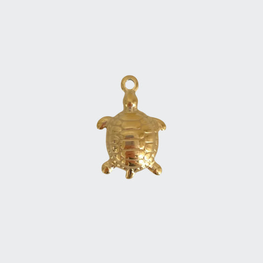 Turtle Charm