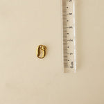 cowry - charm - foramour