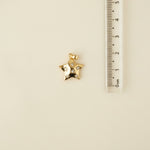 Star - charm - foramour