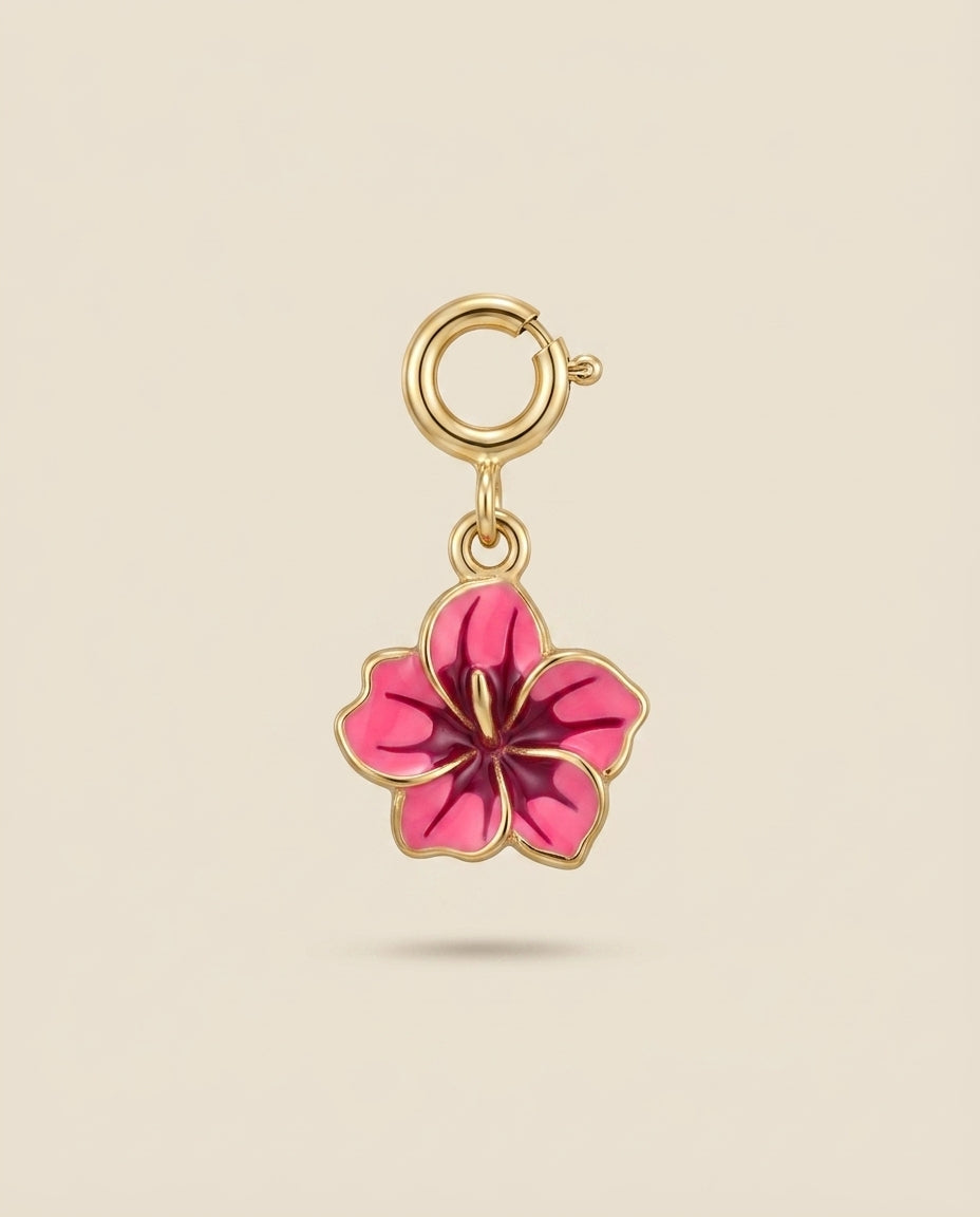 Hibiscus charm foramour 