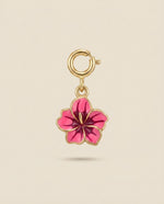 Hibiscus charm foramour 