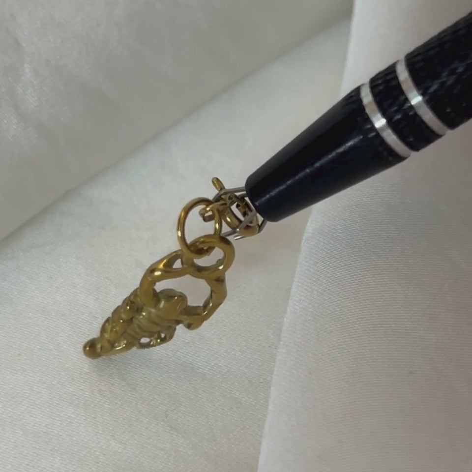 Scorpio - charm - foramour